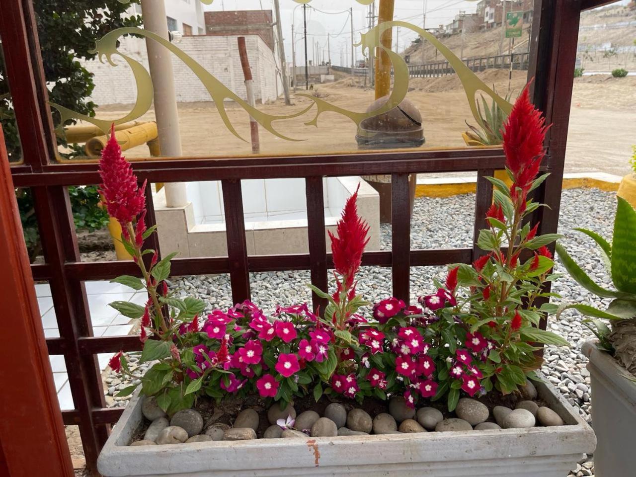Hostal Ocean Pacifico 푼타네그라 외부 사진